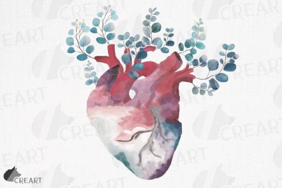 Eucalyptus Pink Blush Anatomical Heart