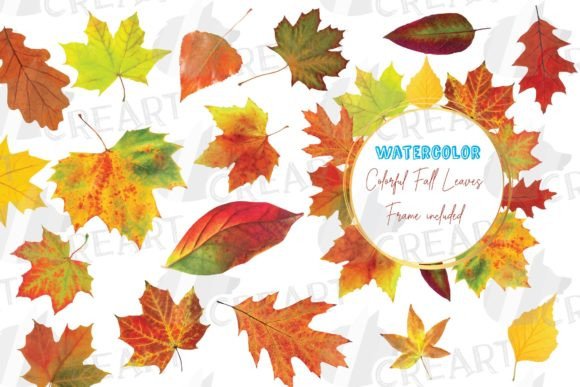 Fall Leaves Clip Art Invitation Frame: Graphics & Print Templates